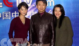 央视电视剧,揭秘时代变迁下的家国情怀