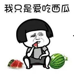 娱乐圈吃瓜句子,明星幕后故事全曝光